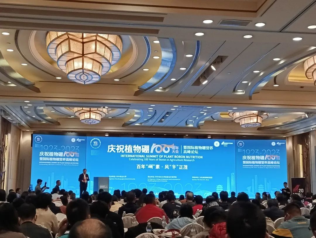 jbo竞博·(电竞)Dota2、LoL、CSGO等电较量事竞猜